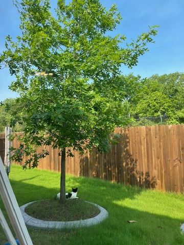 14110 Luisium VW 72, Pflugerville, TX 78660