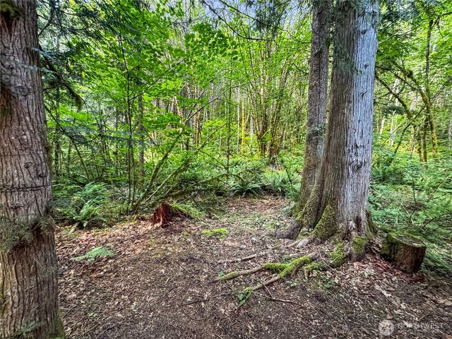107 5 Big River Boulevard, Deming, WA 98244