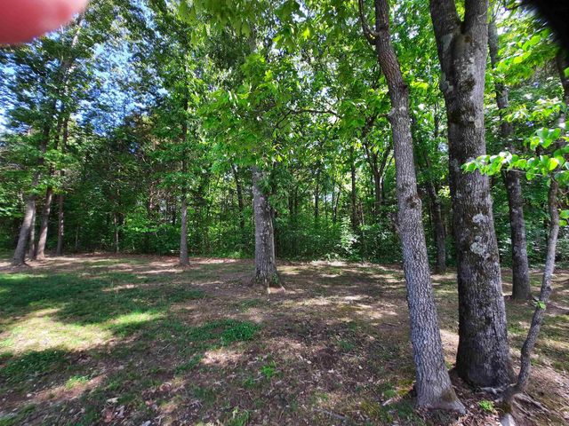 503 Harding, Mountain View, AR 72560