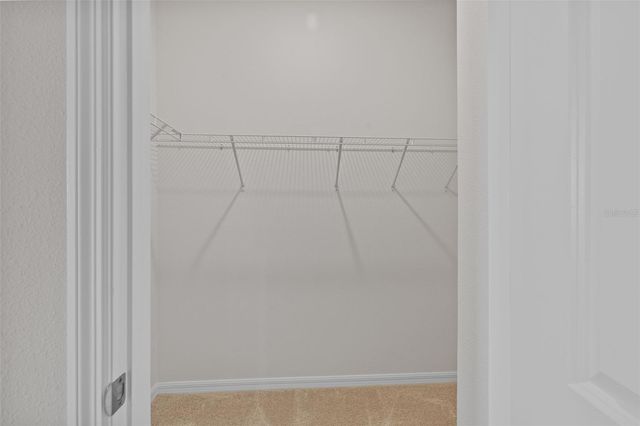 32003 CONCHSHELL SAIL STREET, Wesley Chapel, FL 33545