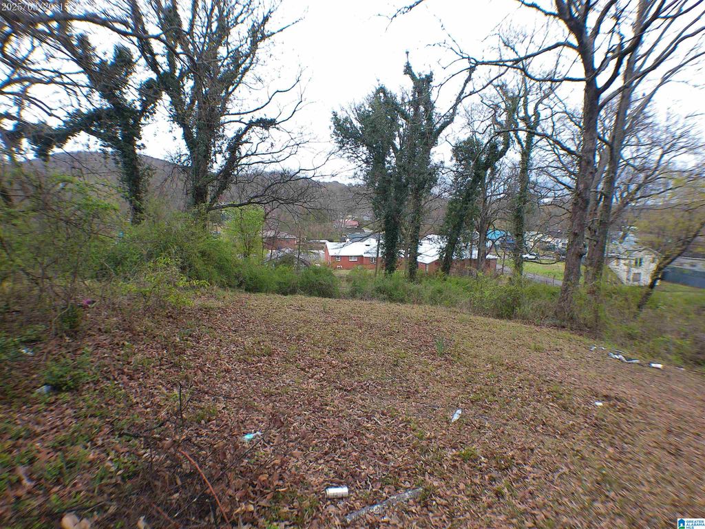 2409 MOORE AVENUE, Anniston, AL 36201