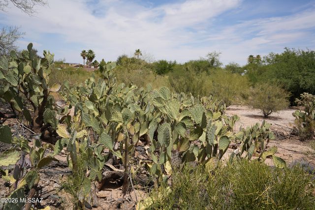 3081 W Corte Madelena, Tucson, AZ 85741