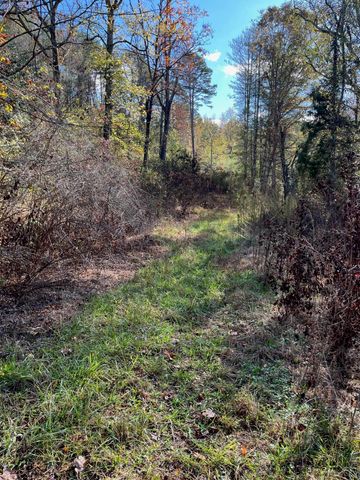 955 Long Island Road, New Hope, TN 37380