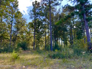 Lot 24 Fairview Road, Marianna, FL 32448