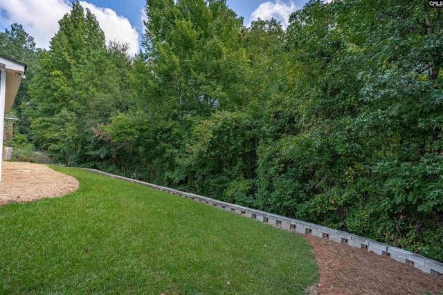 313 Cape Romain Court, Lexington, SC 29072
