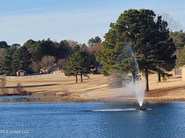 13165 Coldwater Drive, Olive Branch, MS 38654