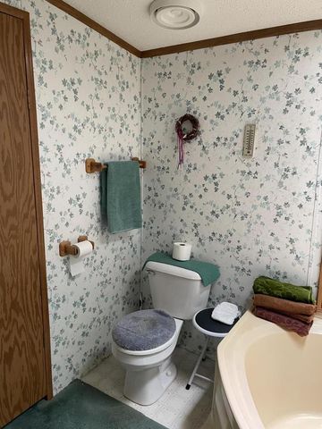 W13924 Lewis LANE, Athelstane, WI 54104