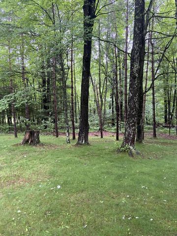 W13924 Lewis LANE, Athelstane, WI 54104