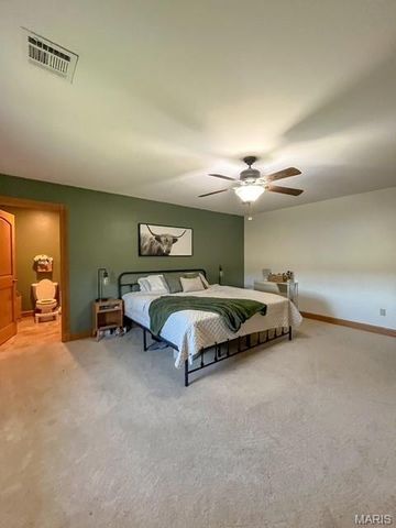 22380 State Route P, St James, MO 65559