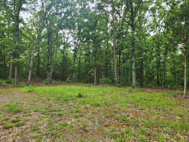 8619 Aster Road, Gilmer, TX 75644