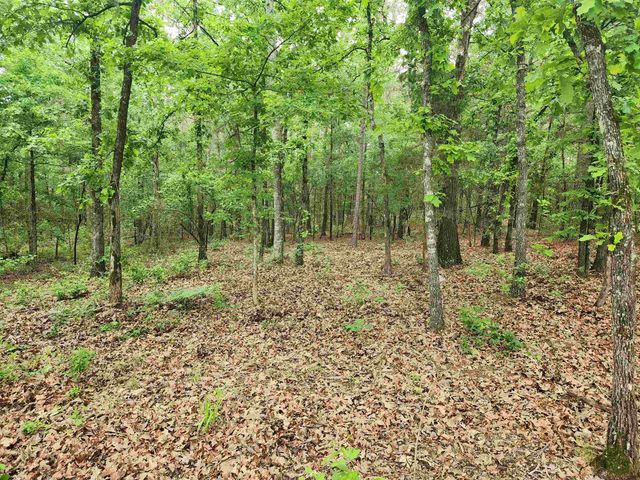 8619 Aster Road, Gilmer, TX 75644