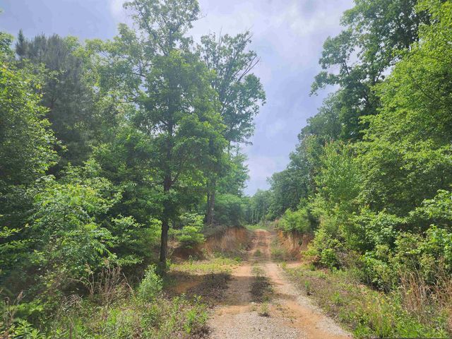 8619 Aster Road, Gilmer, TX 75644