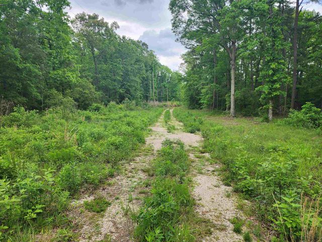 8619 Aster Road, Gilmer, TX 75644