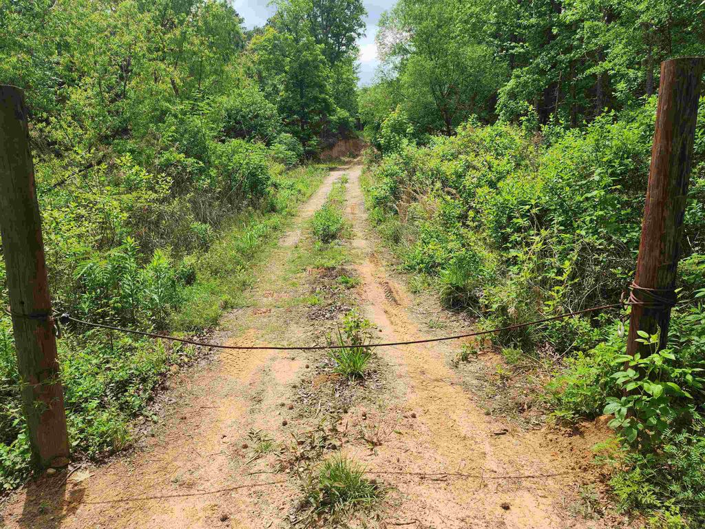 8619 Aster Road, Gilmer, TX 75644
