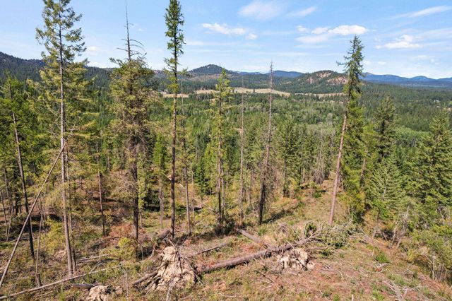4941 Redman Lots A, B, C Rd, Clayton, WA 99110