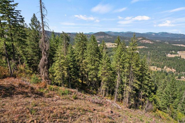 4941 Redman Lots A, B, C Rd, Clayton, WA 99110