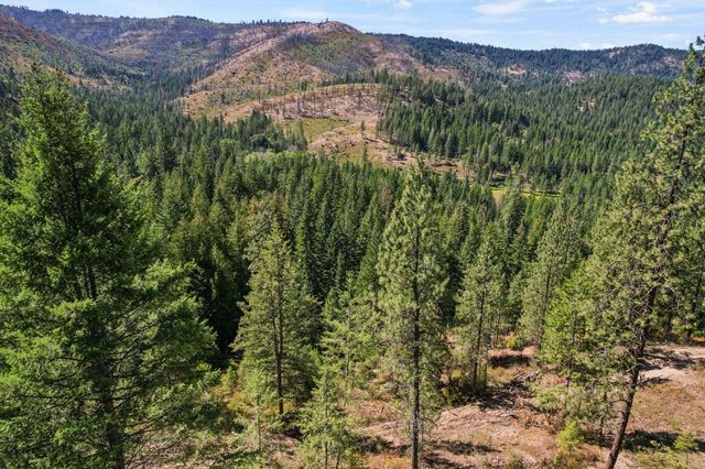 4941 Redman Lots A, B, C Rd, Clayton, WA 99110