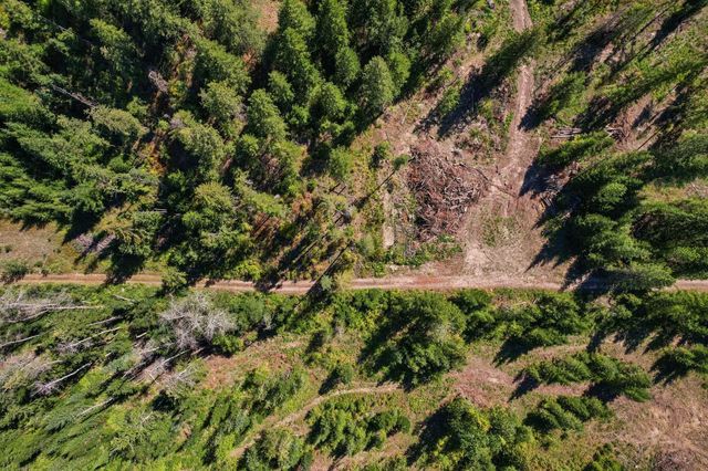 4941 Redman Lots A, B, C Rd, Clayton, WA 99110