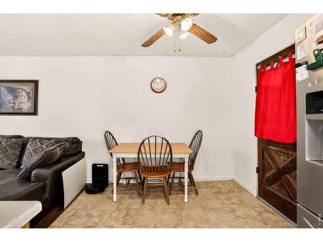 107 S Josephine Ave, Milliken, CO 80543