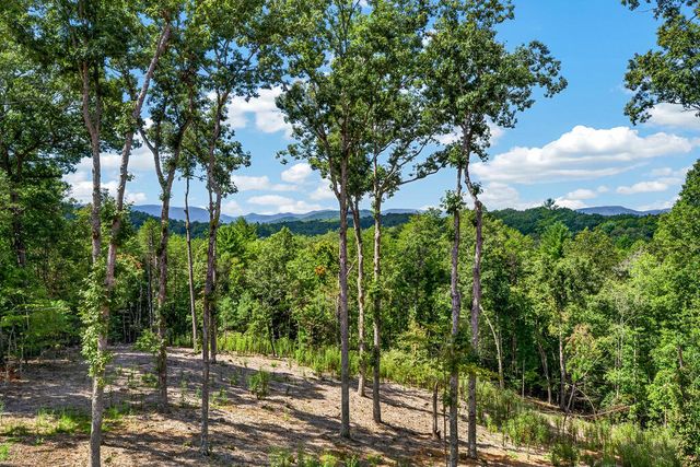 560 Horatio Drive, Blue Ridge, GA 30513