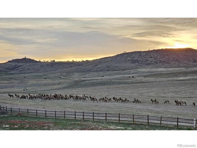 7864 Heart J Trail, Loveland, CO 80537