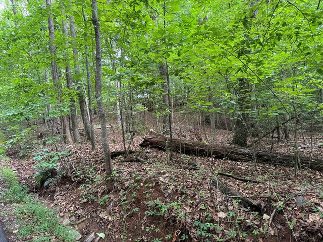 25 Mccracken Cove Road, Hayesville, NC 28904