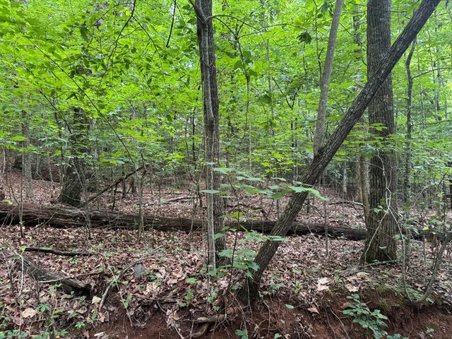 25 Mccracken Cove Road, Hayesville, NC 28904
