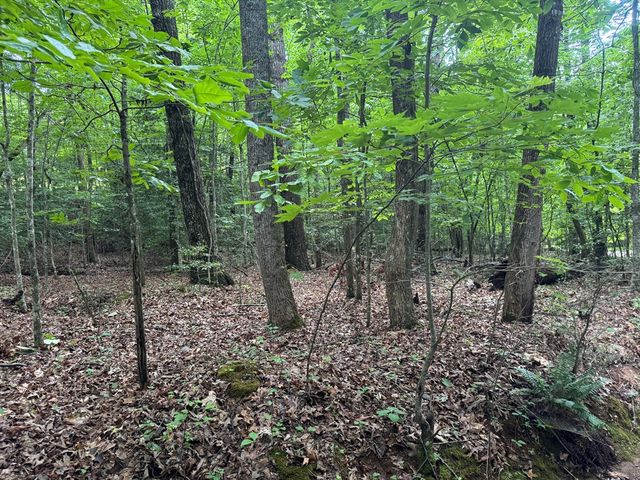 25 Mccracken Cove Road, Hayesville, NC 28904
