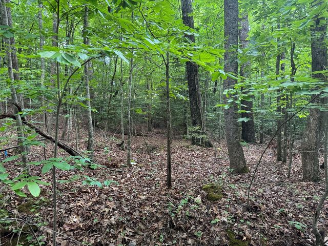 25 Mccracken Cove Road, Hayesville, NC 28904