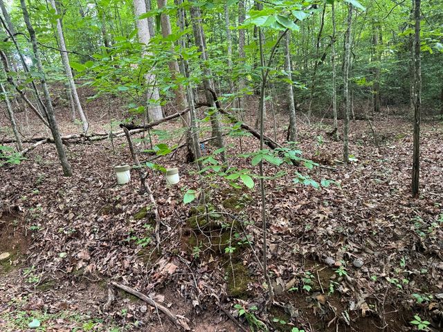 25 Mccracken Cove Road, Hayesville, NC 28904