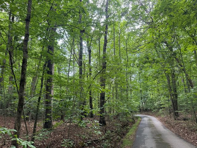 25 Mccracken Cove Road, Hayesville, NC 28904