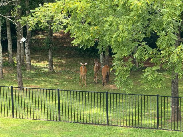 367 Natures Valley Drive, Somerset, KY 42503