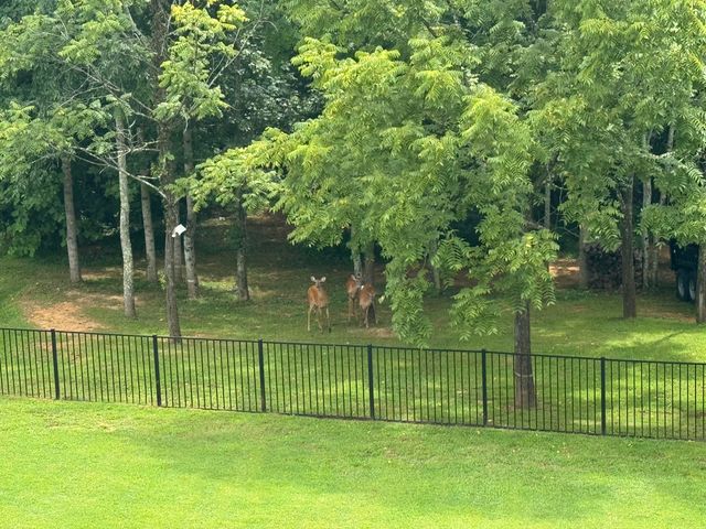 367 Natures Valley Drive, Somerset, KY 42503