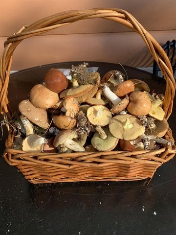 N7583 State Road 58, New Lisbon, WI 53950