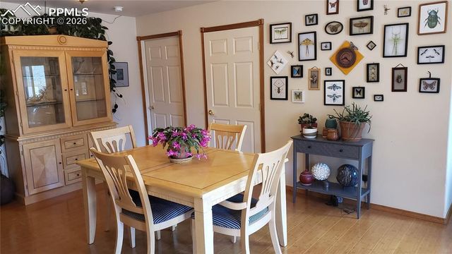 217 Skyline Drive, Woodland Park, CO 80863