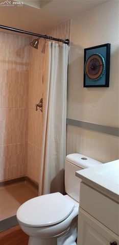 217 Skyline Drive, Woodland Park, CO 80863