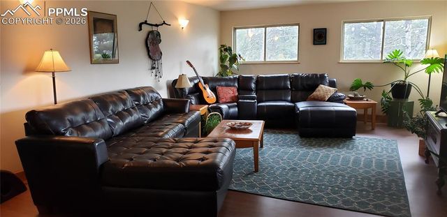 217 Skyline Drive, Woodland Park, CO 80863