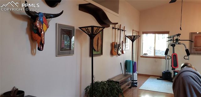 217 Skyline Drive, Woodland Park, CO 80863