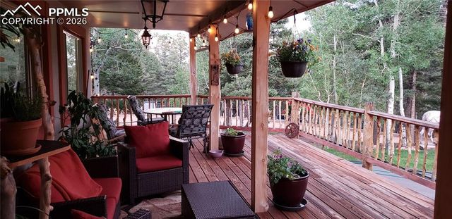 217 Skyline Drive, Woodland Park, CO 80863