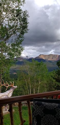 217 Skyline Drive, Woodland Park, CO 80863