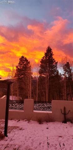 217 Skyline Drive, Woodland Park, CO 80863