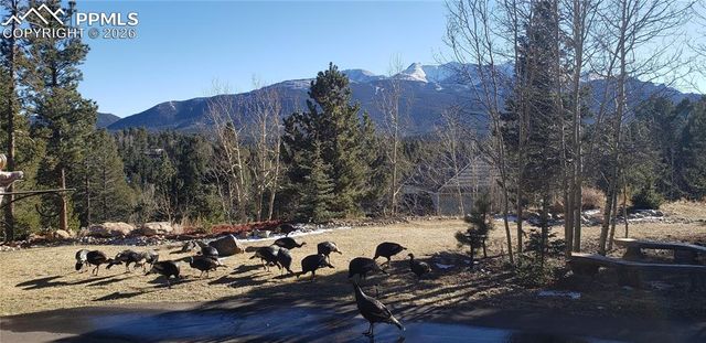 217 Skyline Drive, Woodland Park, CO 80863