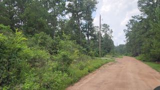 Lot 35 Scarlet Oak Drive, Plantersville, TX 77363