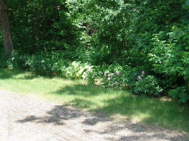 1500 US Highway 10 E, Detroit Lakes, MN 56501