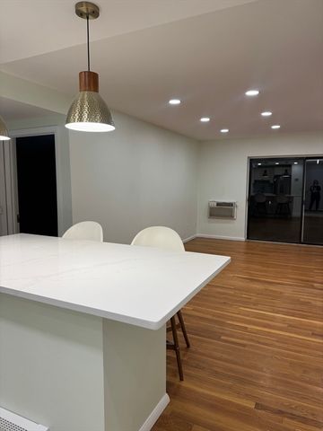 10 Linda Ln 3-6, Boston, MA 02125