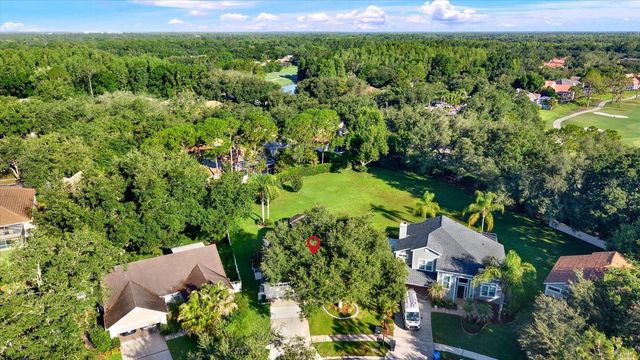 17613 ESPRIT DRIVE, Tampa, FL 33647