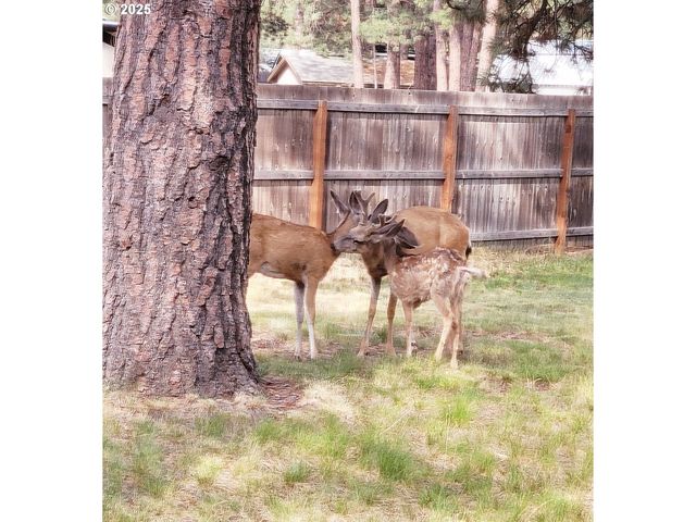 60451 UMATILLA Cir, Bend, OR 97702