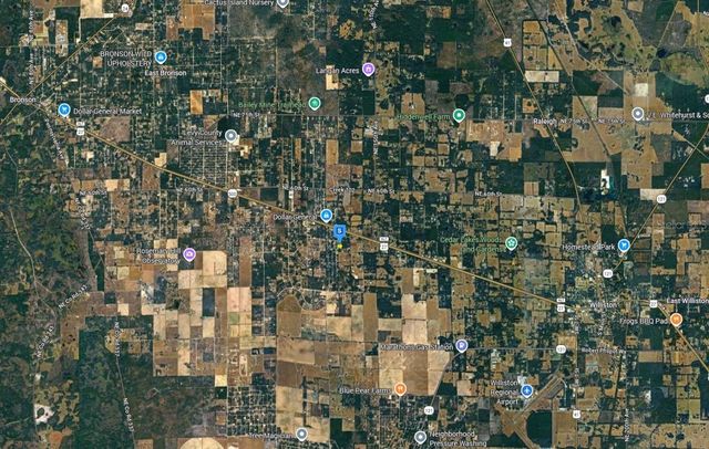 4955 NE 142ND CT, Williston, FL 32696