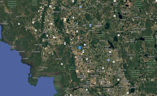 4955 NE 142ND CT, Williston, FL 32696