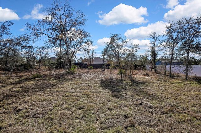 13136 MEADOW SWALLOW AVENUE, Brooksville, FL 34613